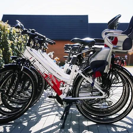 Rozewska Bliza Letniskowe *